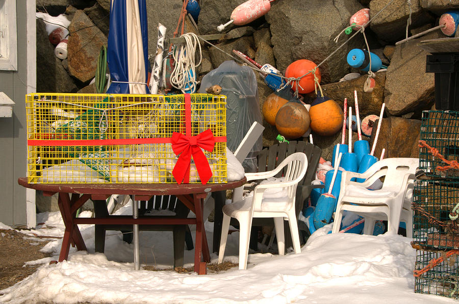 Lobstermans Christmas Package Photograph by Mike Martin