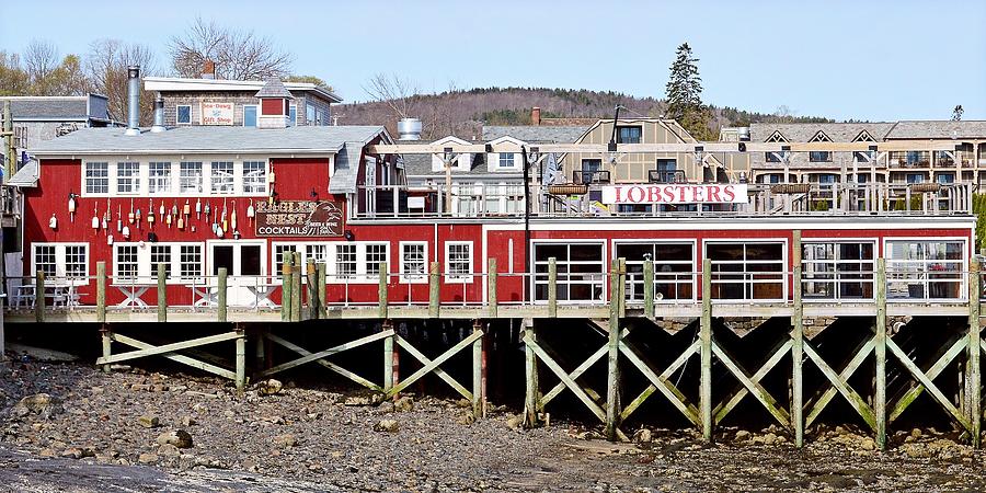 Lobsters in Eagles Nest - Bar Harbor, Maine Photograph by KJ Swan