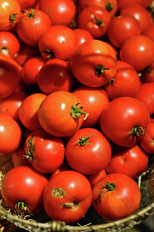 Local Tomatoes Photograph by La Dolce Vita