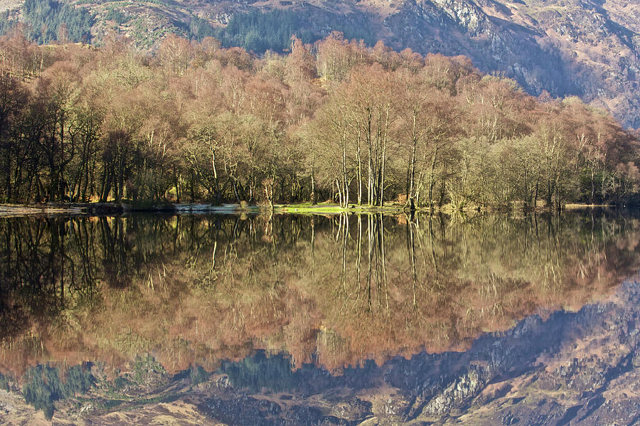 Loch Achray Photograph