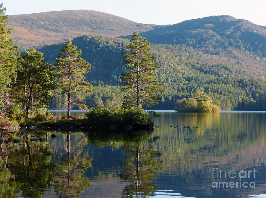 Loch an Eilein - Cairngorm Mountains Photograph by Phil Banks