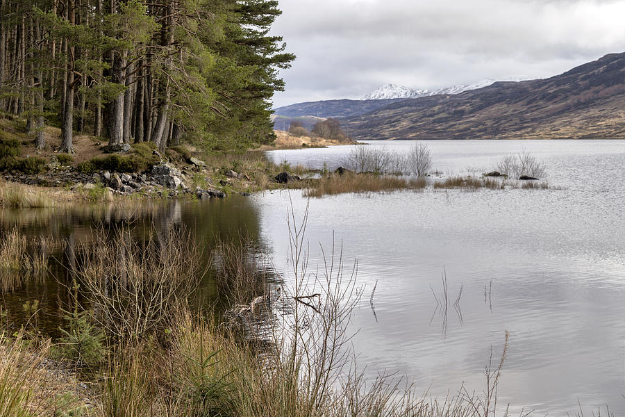 Loch Arklet Shore Photograph by Jeremy Lavender Photography - Fine Art ...