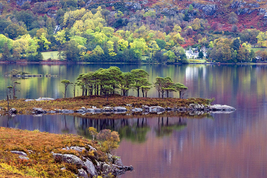 Loch Maree in Autumn Photograph by John McKinlay
