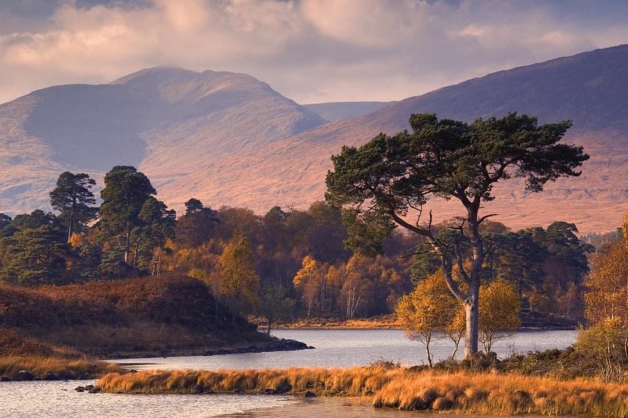 Loch Tulla in Autumn Photograph by John McKinlay