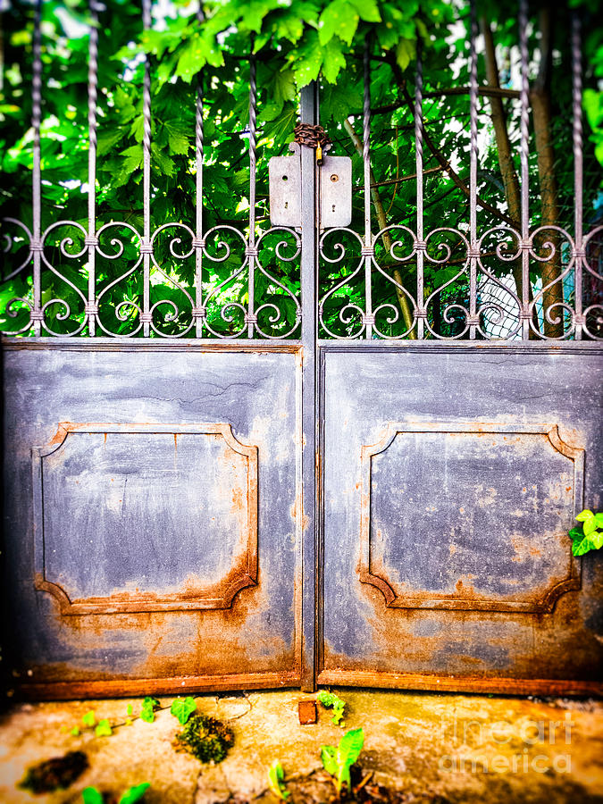 Architecture Photograph - Locked gate with trees by Silvia Ganora