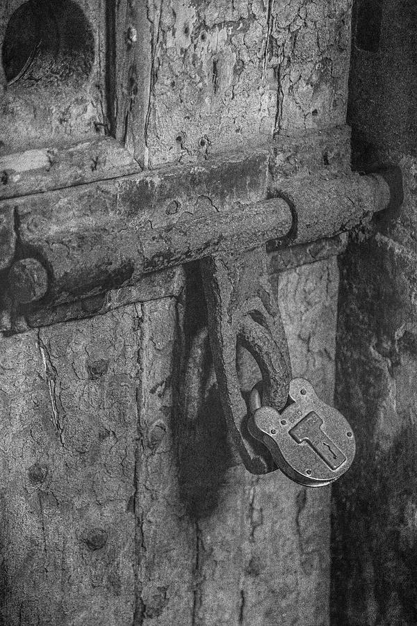 Locked In BW Photograph by Teresa Wilson
