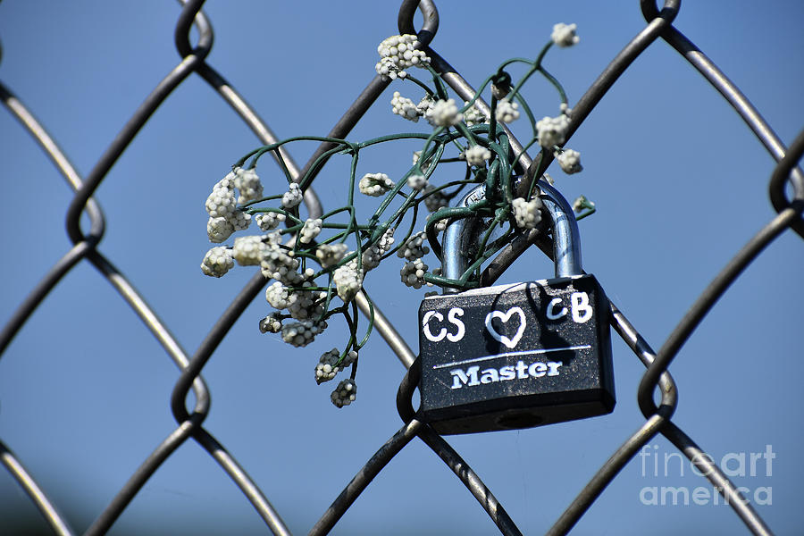 Locked In Love Photograph by Skip Willits