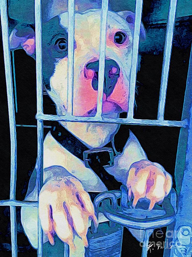 Dog Digital Art - Locked Up by Kathy Tarochione