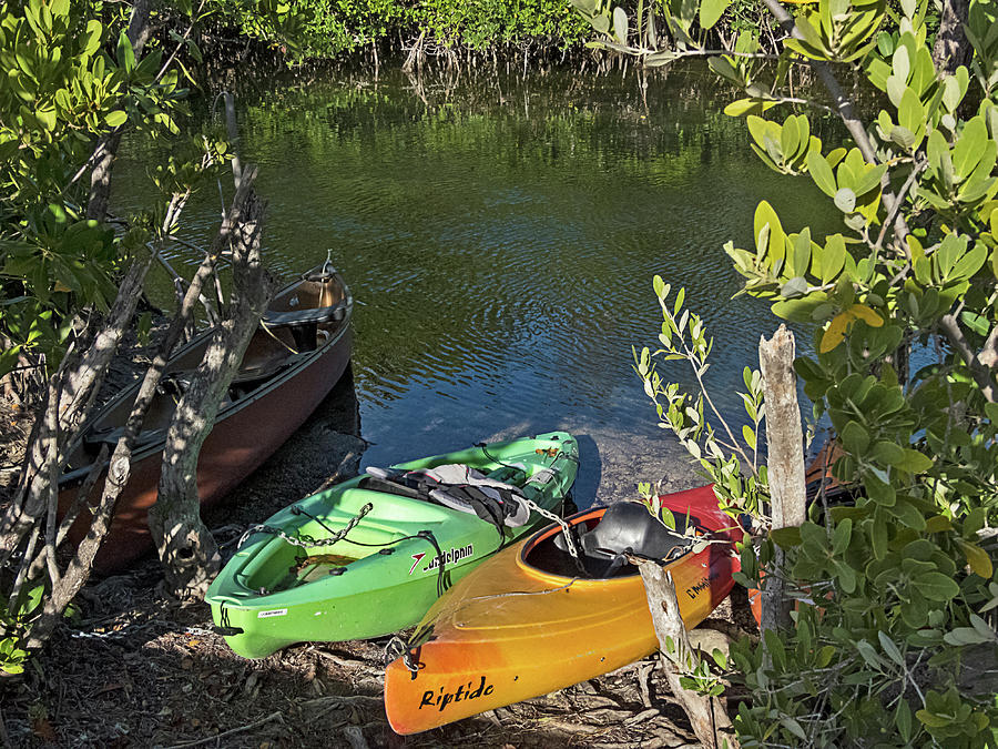 Locked Up Kayaks in the Mangroves Photograph by Bob Slitzan