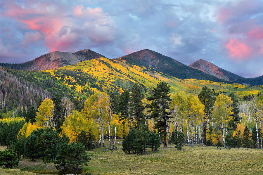 Lockett Meadow Sunrise Photograph by Dean Hueber