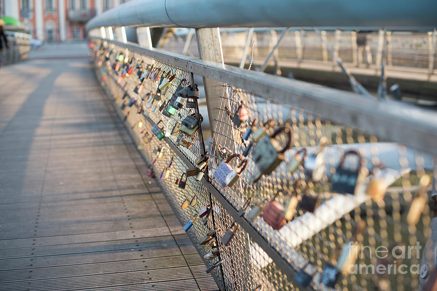 Bridge Photograph -  Locks of love on bridge in Krakow, Poland by Juli Scalzi