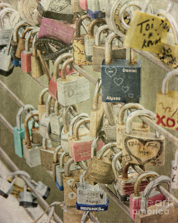 Locks of Love Photograph by Pam  Holdsworth