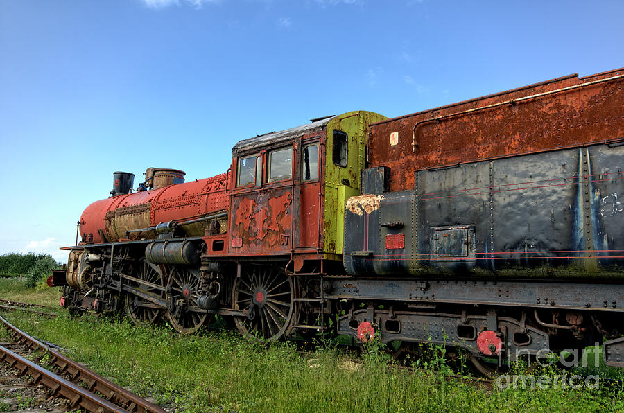 Loco 1313 Photograph by Steev Stamford
