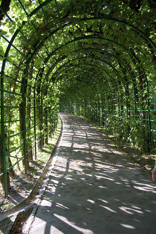 Lodge. Green arch. Photograph by Irina Semchuk - Pixels