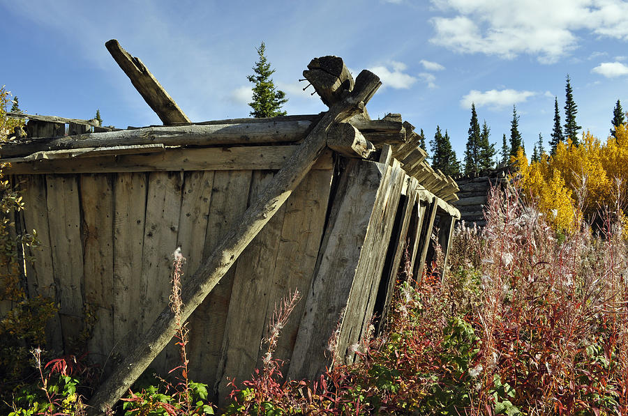 Lodge in Autumn Fireweed Photograph by Cathy Mahnke