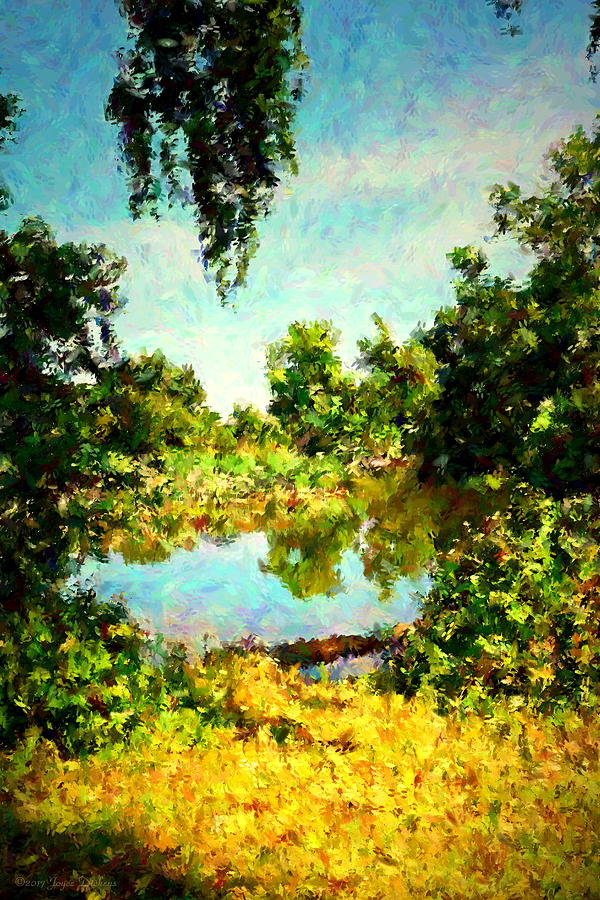 Lodi Lake Digital Painting Photograph by Joyce Dickens