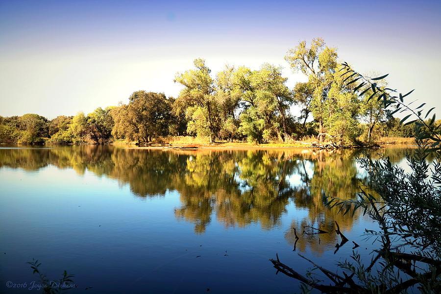 Lodi Lake Reflections Photograph by Joyce Dickens - Fine Art America