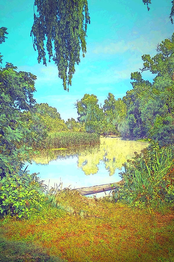 Lodi Lake Watercolor Photograph by Joyce Dickens
