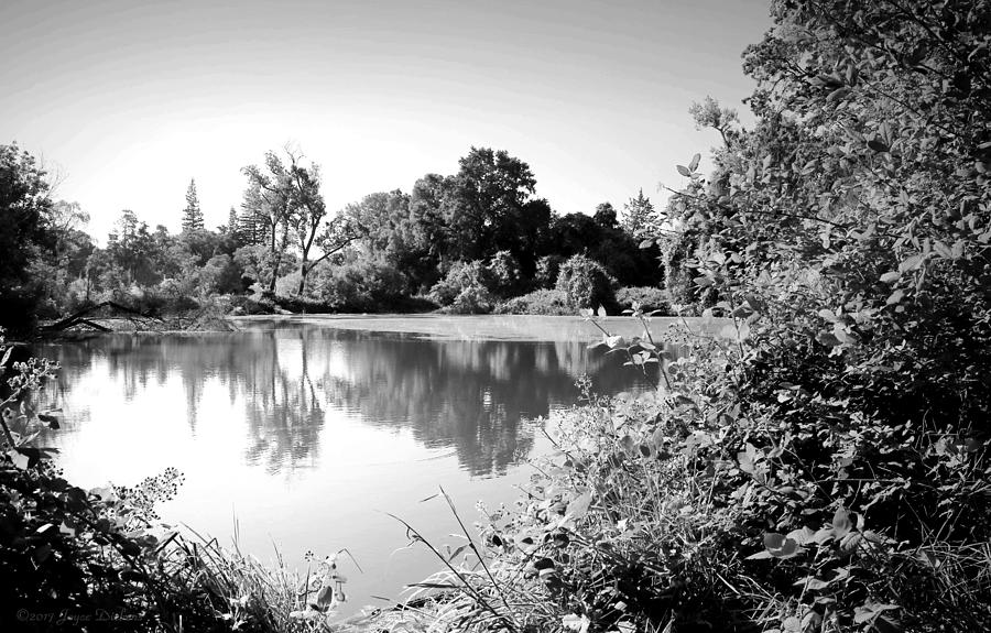 Lodi Pig Lake Reflections B and W Photograph by Joyce Dickens