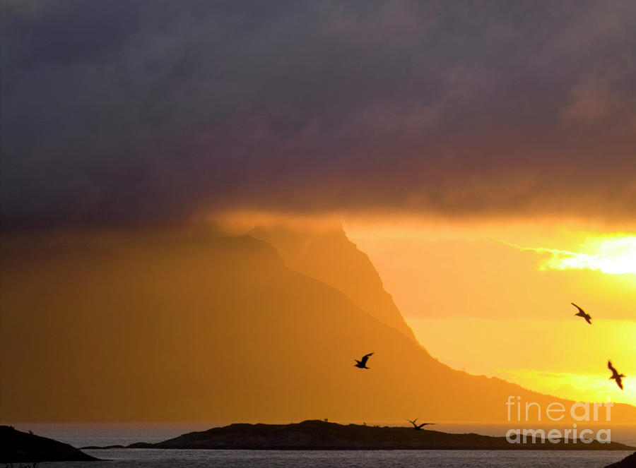 Lofoten island after the storm Photograph by Heiko Koehrer-Wagner