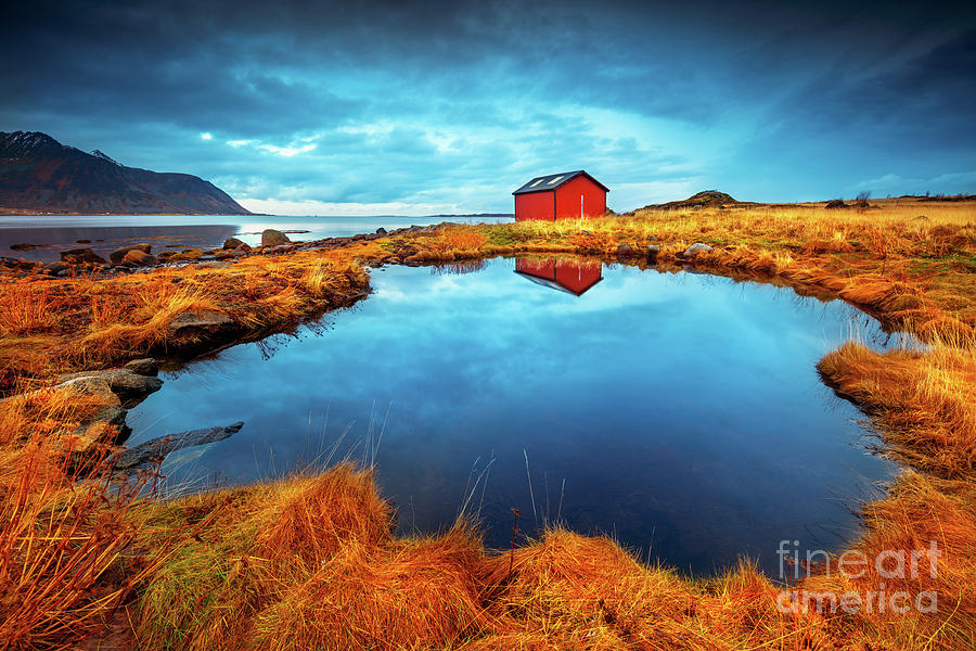 Lofoten islands Photograph by Anna Om