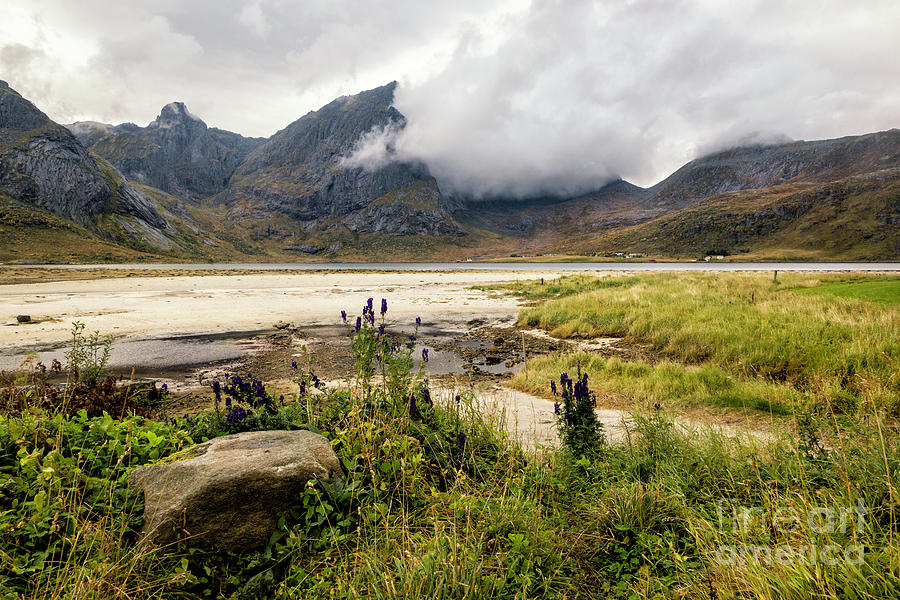 Lofoten Landscape 1 Photograph by Timothy Hacker