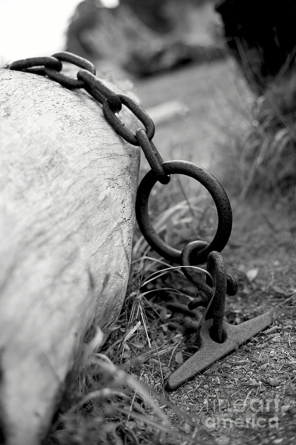 Black And White Photograph - Log and Chain by Neil Webb