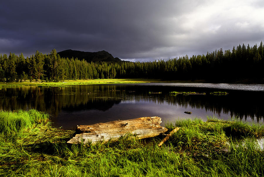 Log and Lake Photograph by Grant Sorenson