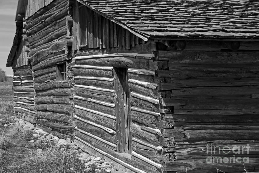 Log Barn black and white Photograph by Edward R Wisell