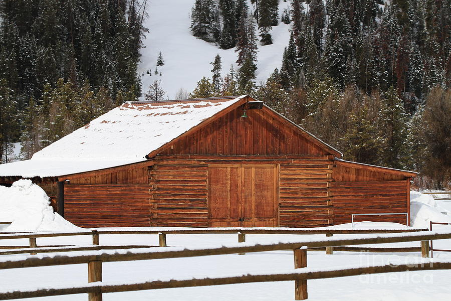 Log Barn Photograph by Edward R Wisell