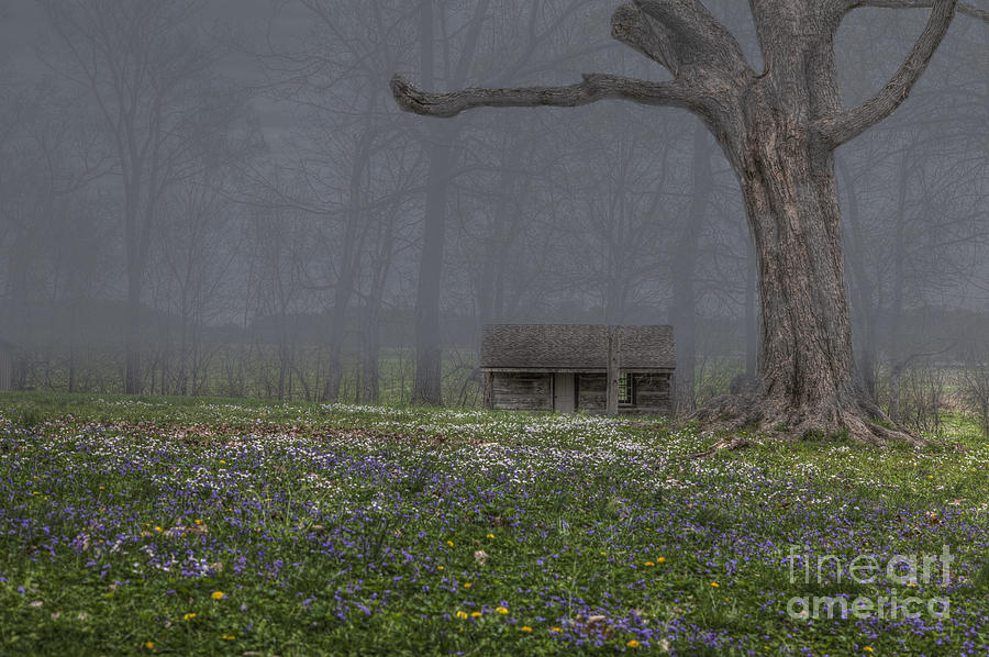 Spring Photograph - Log Cabin at McKendrees Chapel by Larry Braun