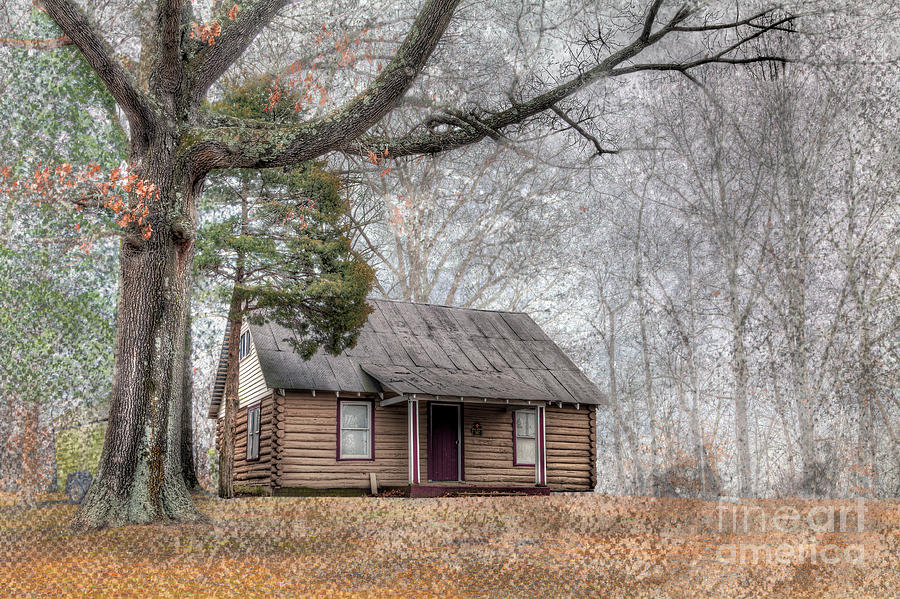 Travel Photograph - Log Cabin By A Tree by Larry Braun Travel Photograph - Log Cabin By A Tree by Larry Braun