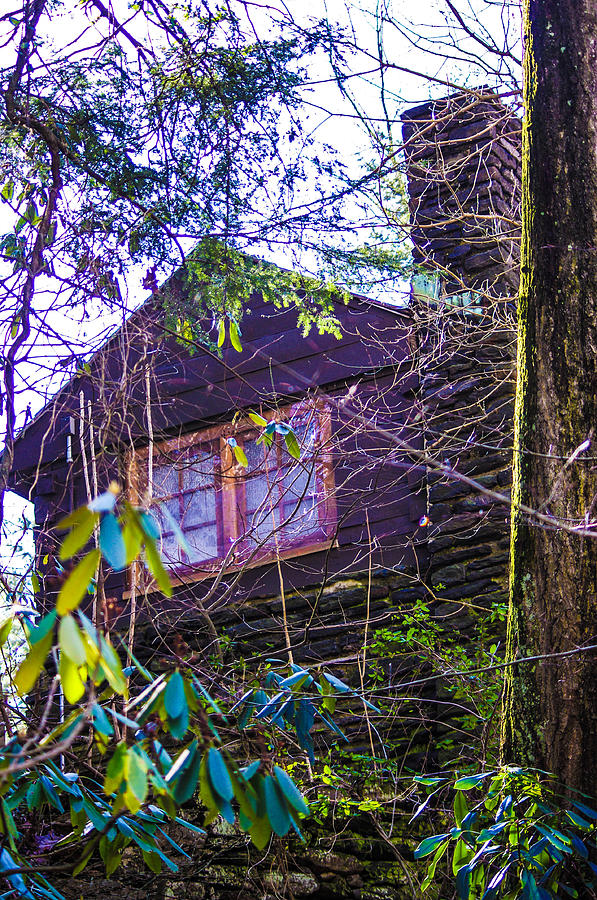 Log Cabin  Photograph by Gerald Kloss