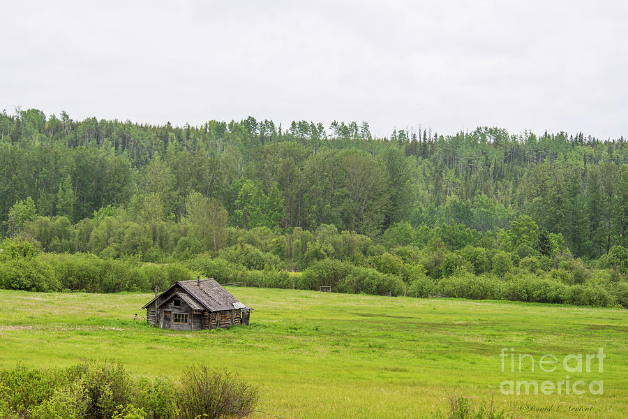 Log Cabin in the Meadow Photograph by David Arment