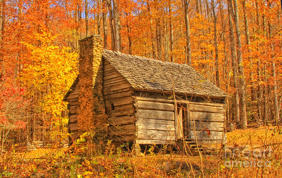Log Cabin In The Woods Photograph by Geraldine DeBoer