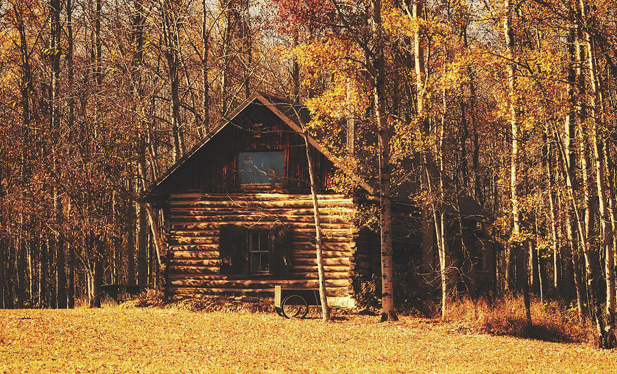 Log Cabin In The Woods Photograph by Mountain Dreams
