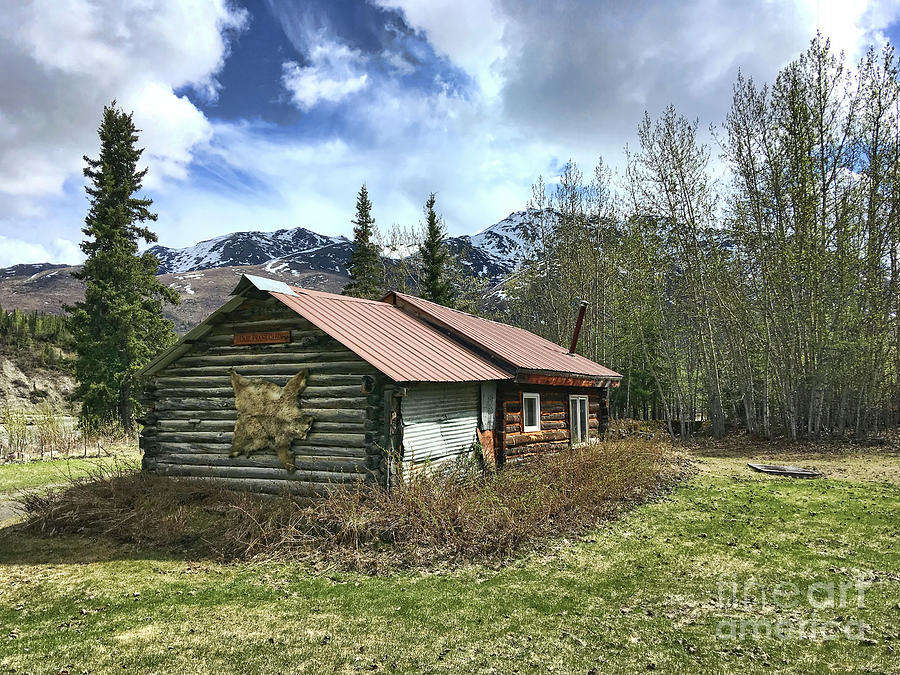 Log Cabin in Wiseman, Alaska Photograph by Martina Parsley | Pixels