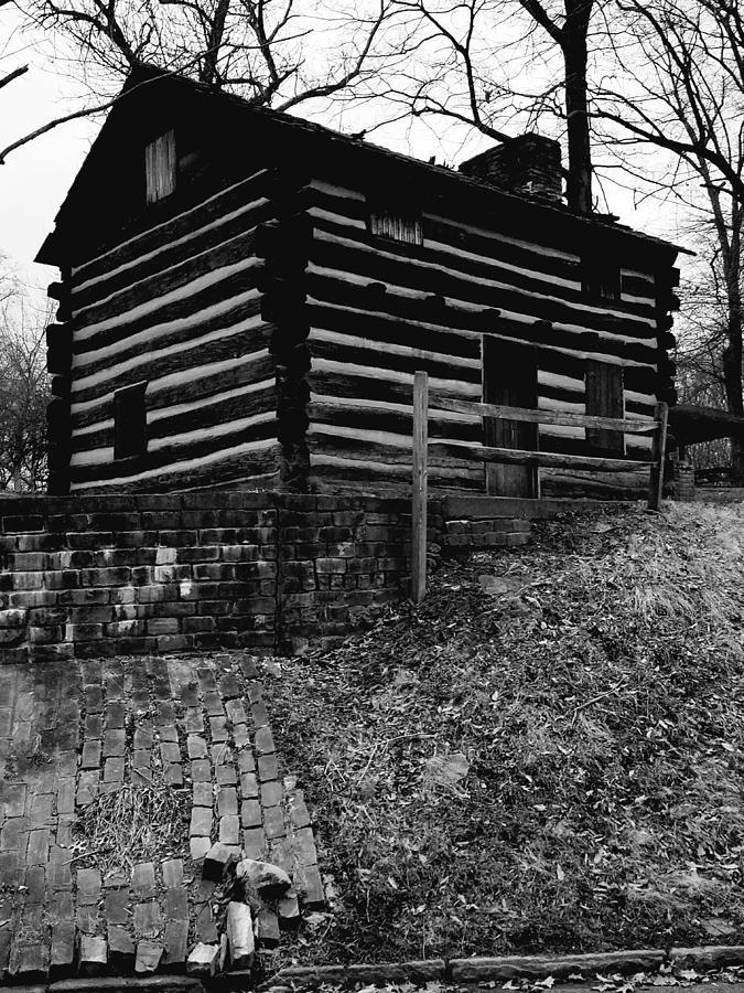 Log Cabin Photograph by Michael Hills