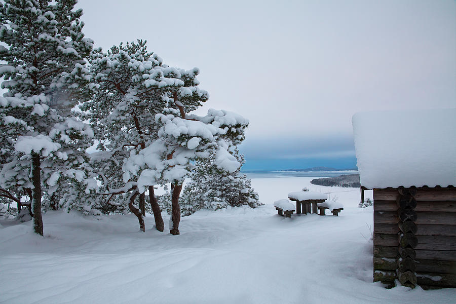 Nature Photograph - Log cabin on a mountain overlooking an ocean bay in winter by Ulrich Kunst And Bettina Scheidulin
