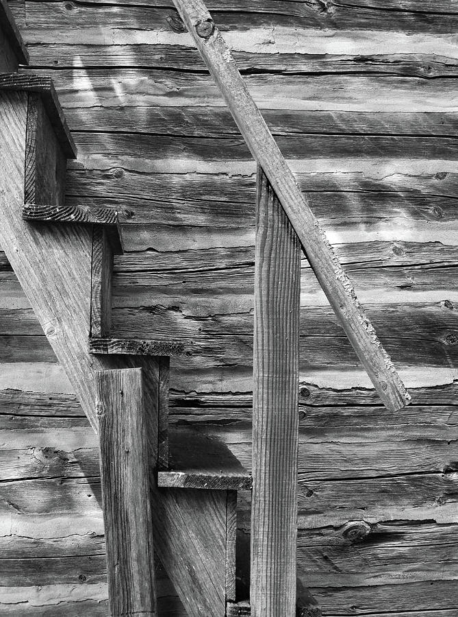 Log Cabin Stairs B W Photograph by David T Wilkinson