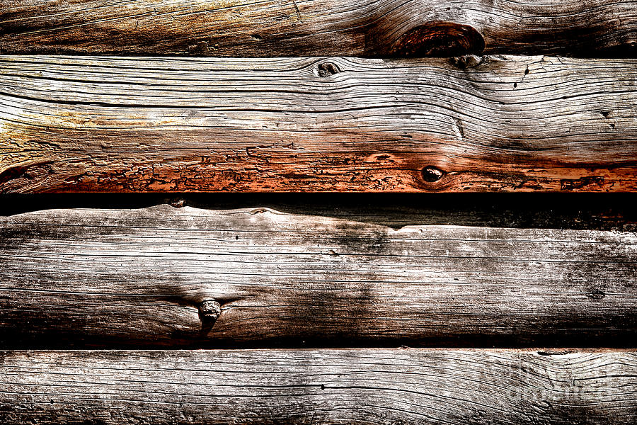 Log Cabin Wall Photograph by Olivier Le Queinec