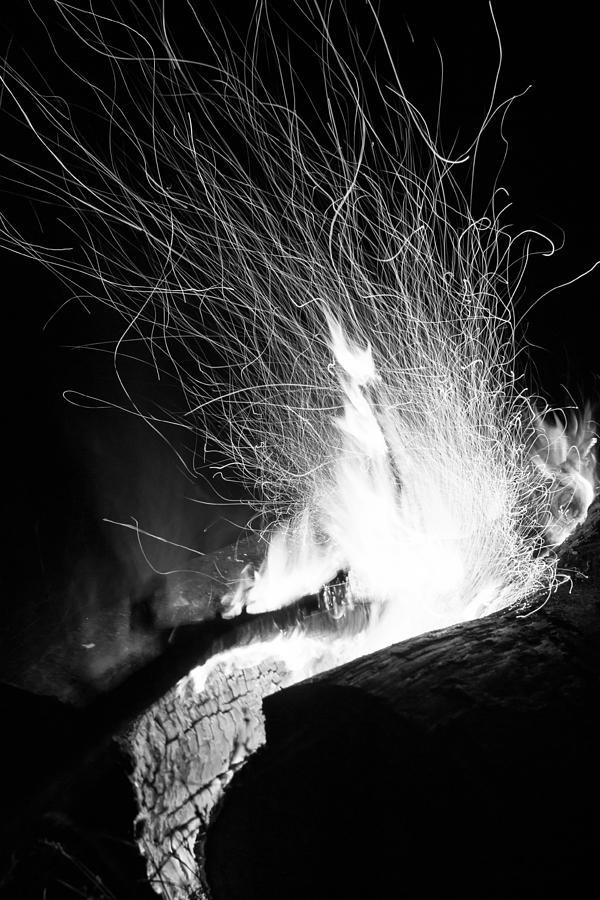 Log Campfire Burning at Night Photograph by John Williams