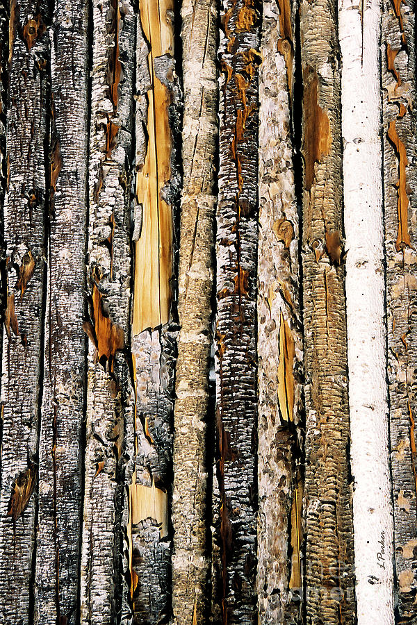Log Fence - 3 Photograph by Linda Parker