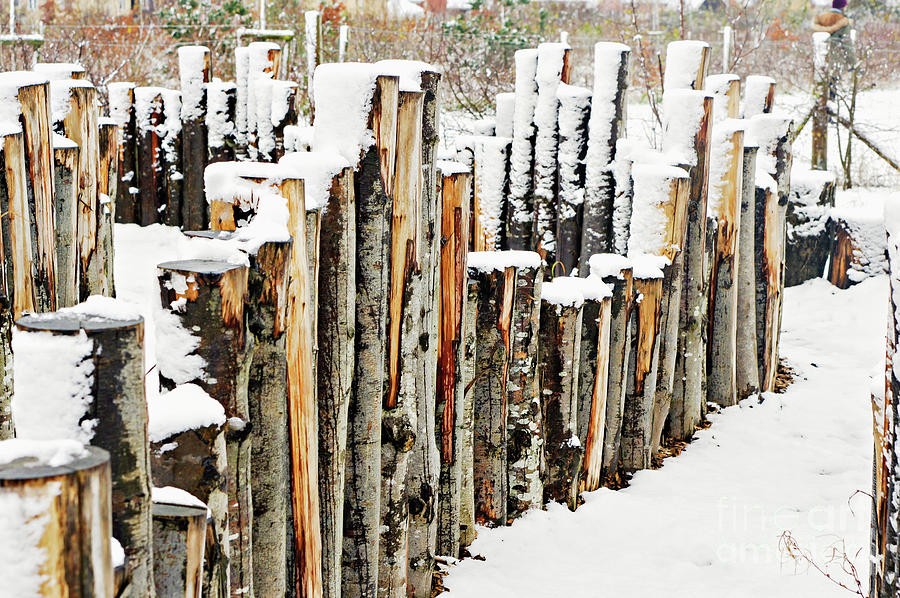 Abstract Photograph - Log fence in the snow by Tom Gowanlock