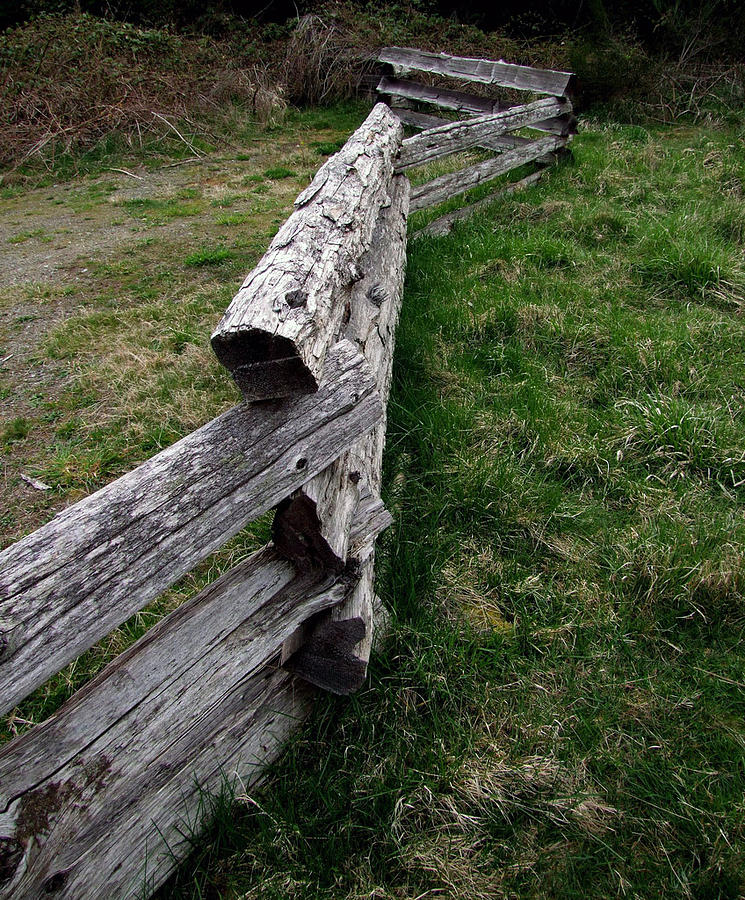 Log fence Photograph by Ron Roberts