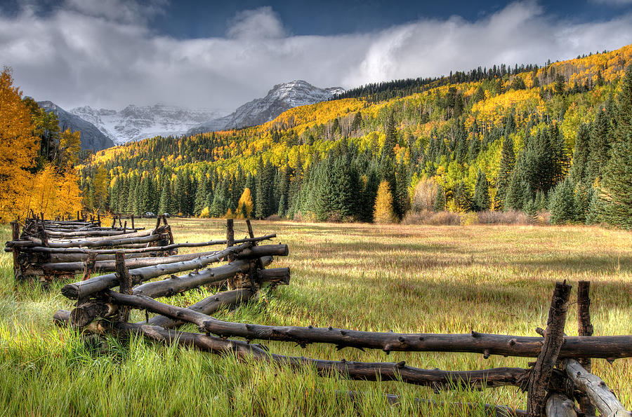 Log Fence Photograph by Steve Stuller