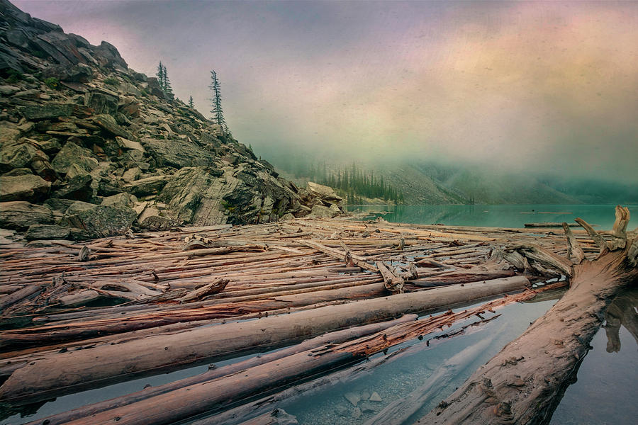 Log Jam at Moraine Lake Banff National Park Canada Photograph by Joan Carroll