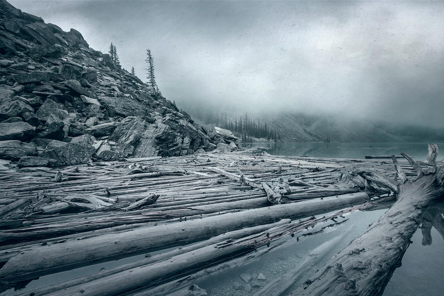 Banff National Park Photograph - Log Jam At Moraine Lake Banff National Park Canada Monochrome by Joan Carroll