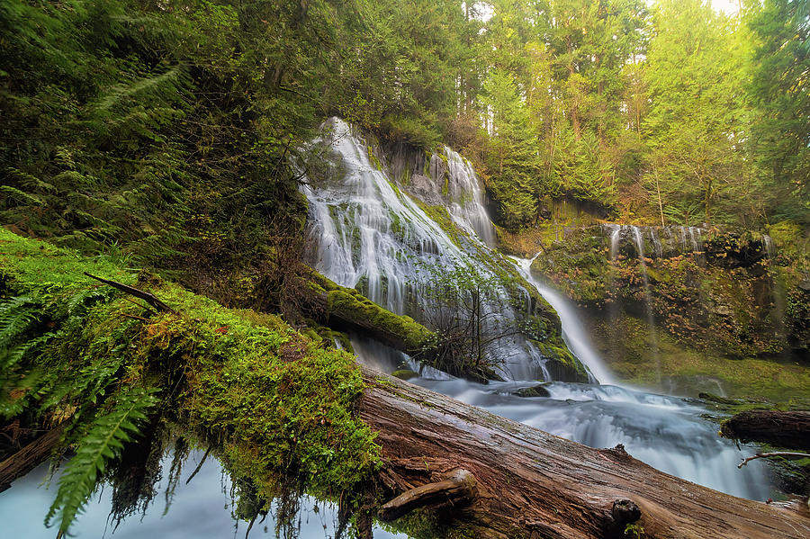 Log Jam by Panther Creek Falls Photograph by David Gn