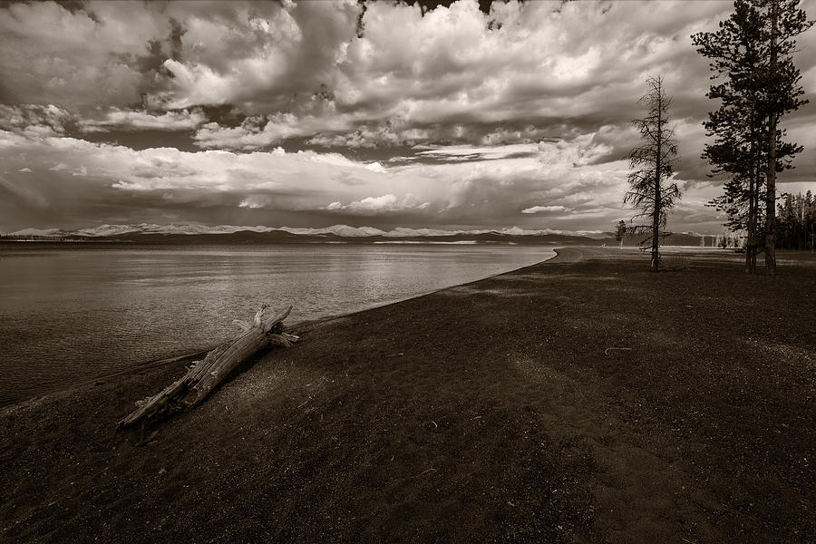 Landscape Photograph - Log on Lake Shore by Rick Strobaugh